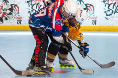 WRH-Draft-Tournament-May-2025-CR-OHara-Shipe_DSC6609